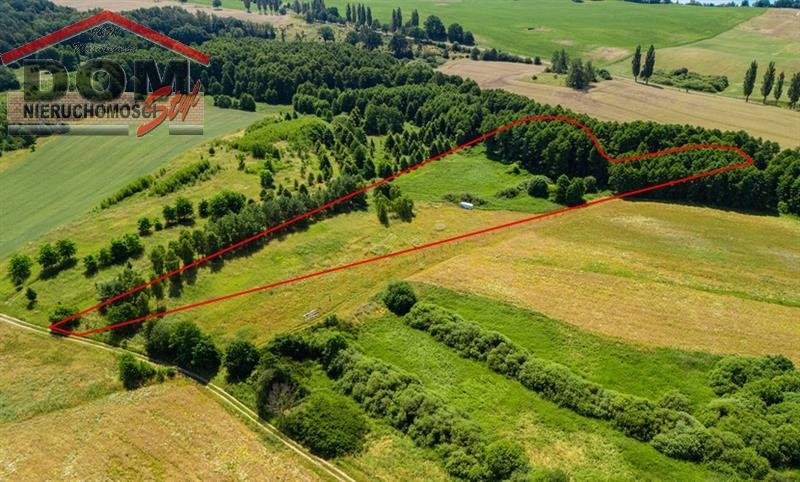 Działka inna na sprzedaż Gudowo  15 600m2 Foto 3