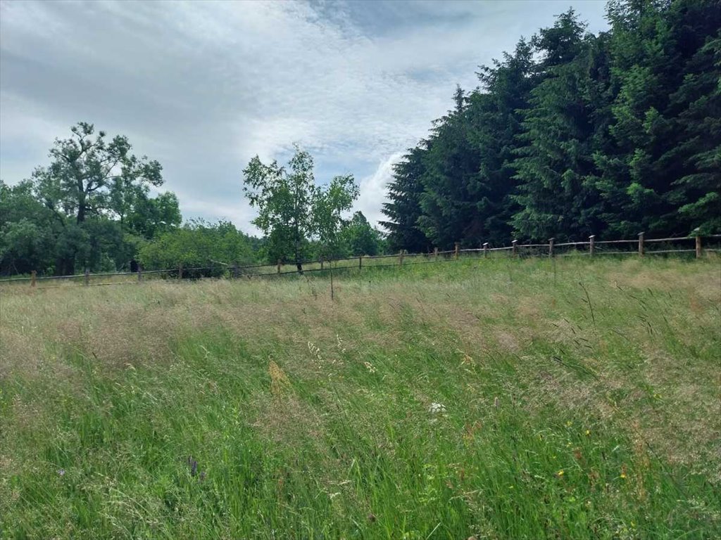 Działka pod dom w Walimie z mediami i atrakcjami turystycznymi Walim, Glinno  3 800m2 Foto 1