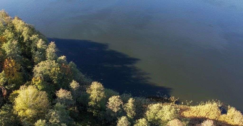 Działka rolna na sprzedaż Ramsowo  6 195m2 Foto 4