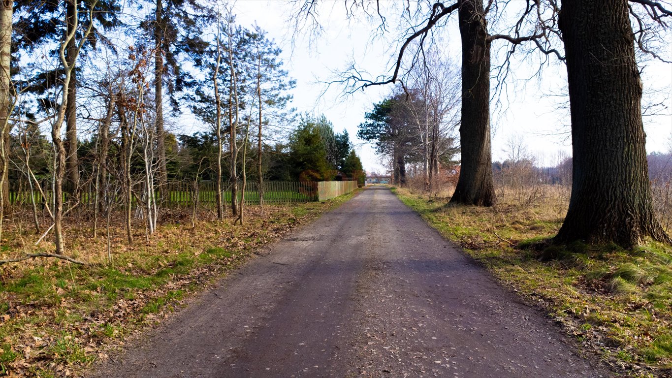 Działka budowlana na sprzedaż Słupsk  5 000m2 Foto 4