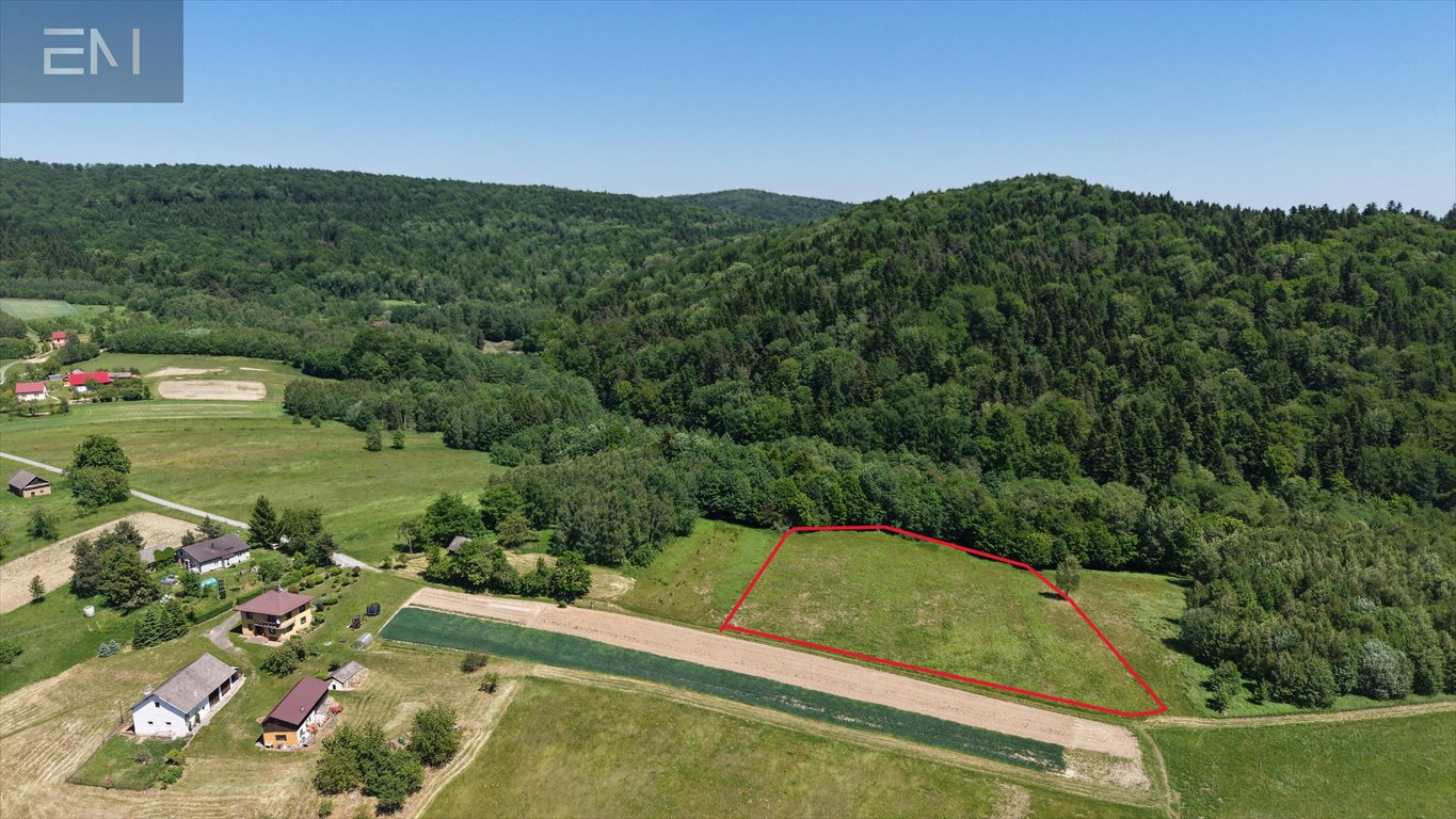 Działka 88 arów z mediami, widok na las, inwestycja Huta Gogołowska  8 800m2 Foto 1