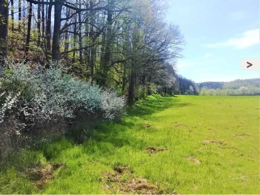 Działka budowlana na sprzedaż Chwaliszów, Chwaliszów  2 073m2 Foto 3