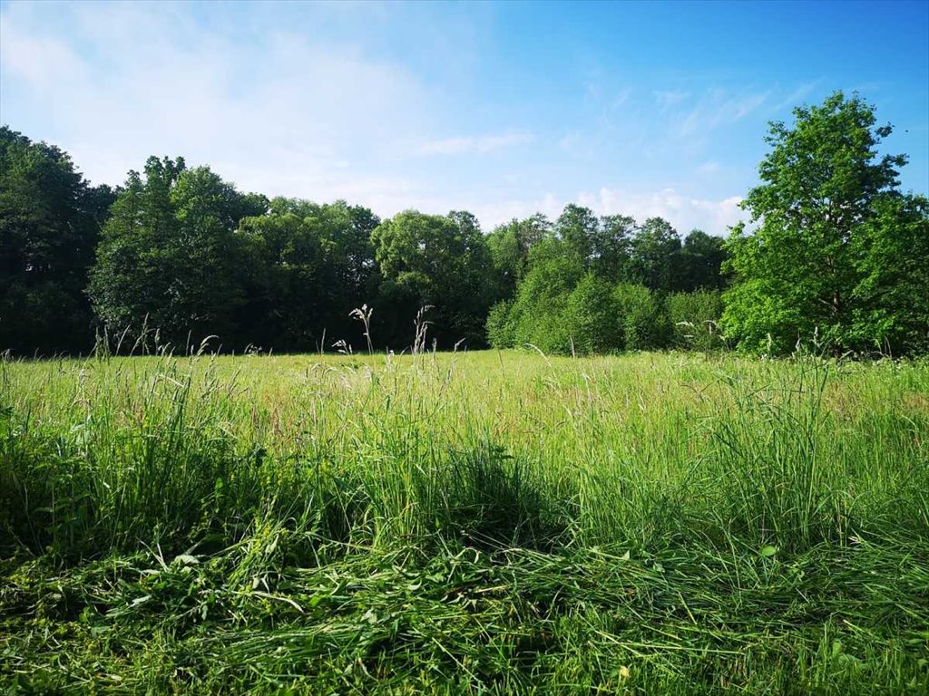 Działka inna na sprzedaż Bystrzyca Kłodzka, Gorzanów  86m2 Foto 4