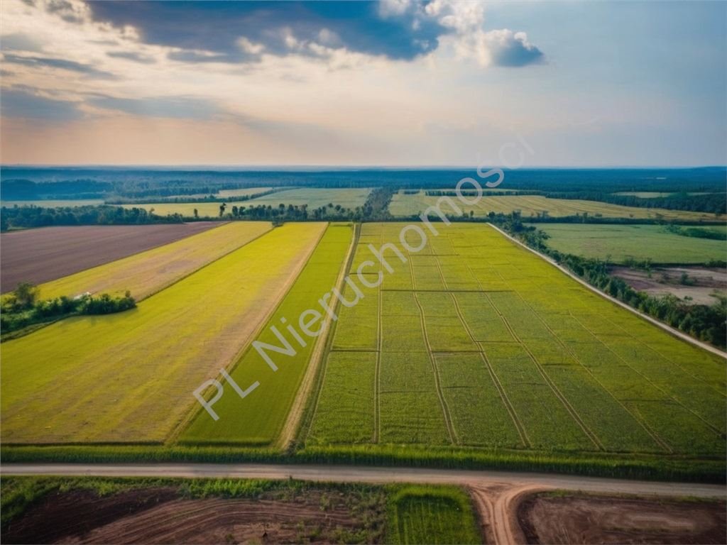 Działka inwestycyjna 18 839 m² z mediami i dojazdem asfaltowym Chrzanów Duży  18 839m2 Foto 1