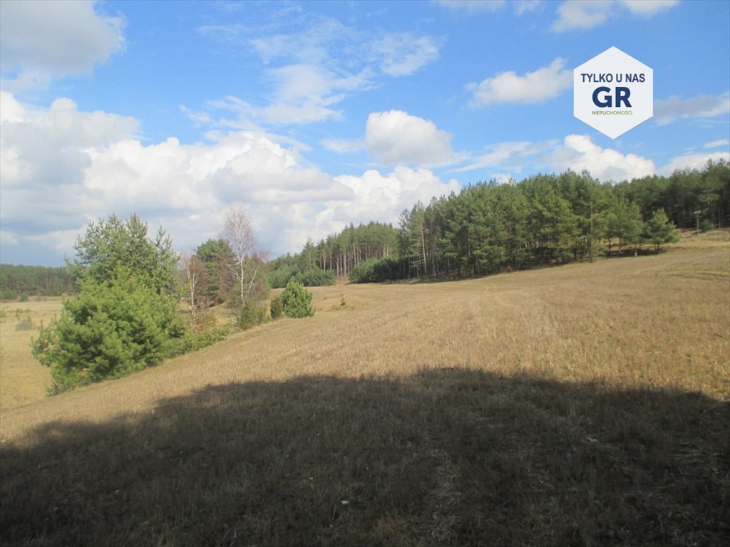 Działka rolna na sprzedaż Gołubie 114 900m2 Foto 1 Działka rolna na sprzedaż Gołubie 114 900m2 Foto 1
