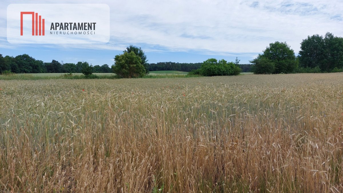 Działka budowlana na sprzedaż Śmiłowo  1 000m2 Foto 2