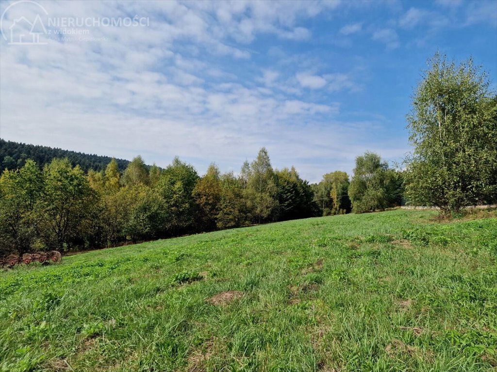 Działka budowlana na sprzedaż Tuchów  4 632m2 Foto 12