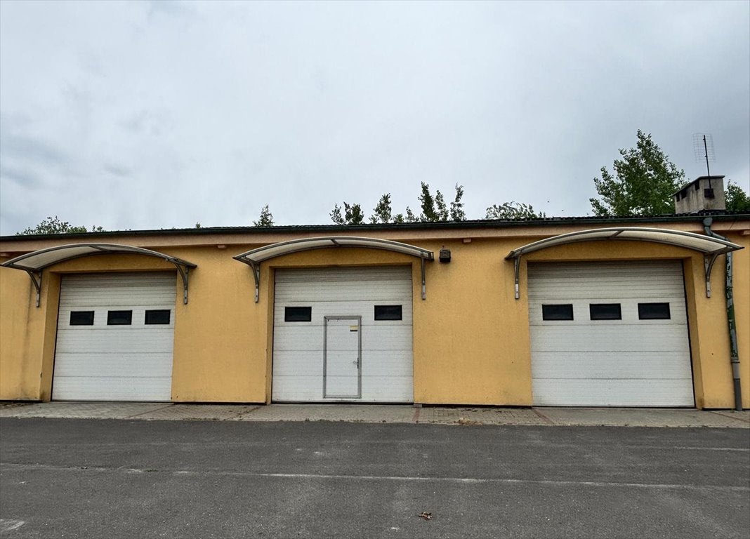 Hala produkcyjno-magazynowa 364 m² z placem 2500 m² (Gniezno) Gniezno, Winiary, Lednicka  363m2 Foto 1