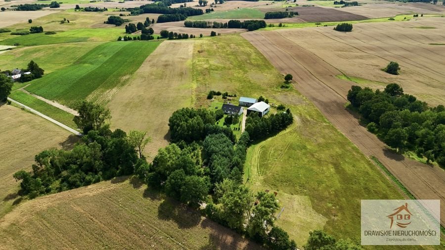 Działka rolna na sprzedaż Zagórzyce, Zagórzyce  10 800m2 Foto 5