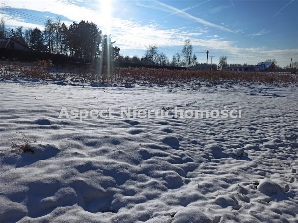 Działka budowlana na sprzedaż Wodzisław Śląski  8 600m2 Foto 1