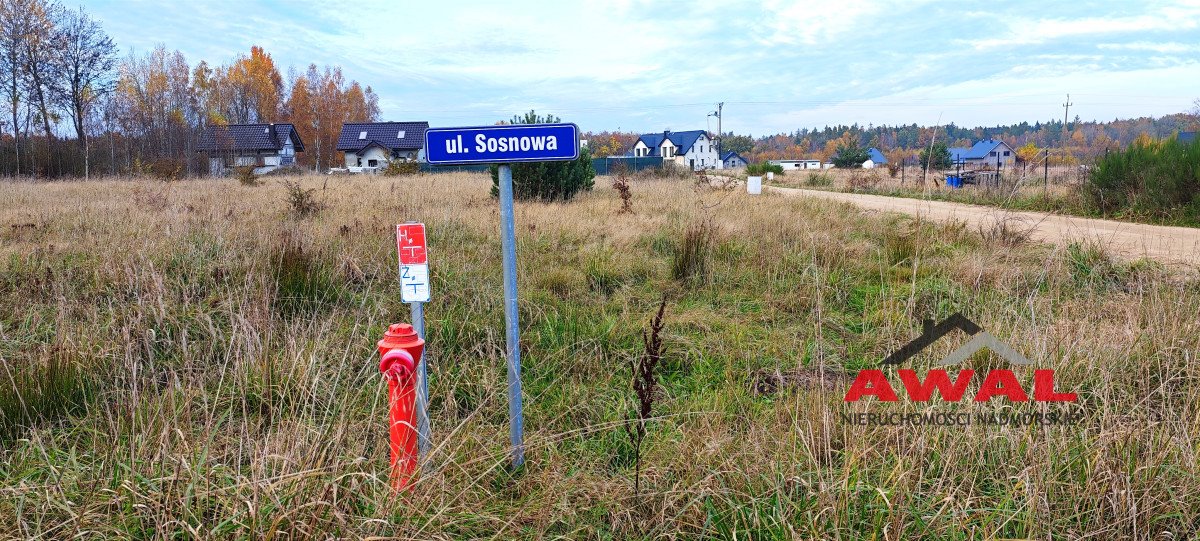 Działka budowlana na sprzedaż Brudzewo, Żurawia  1 005m2 Foto 7