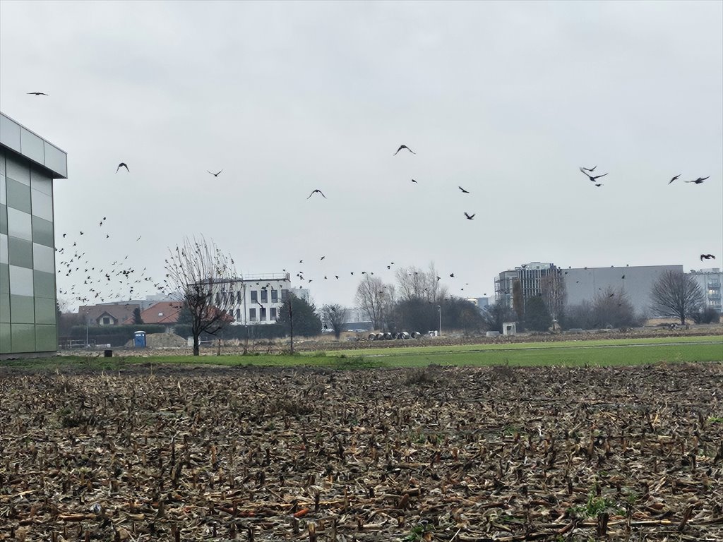 Działka budowlana na sprzedaż Lubiczów  1 513m2 Foto 6