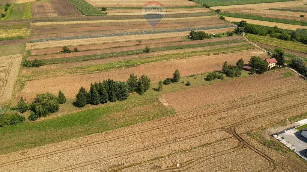 Działka budowlana na sprzedaż Krzysztoforzyce  5 500m2 Foto 8