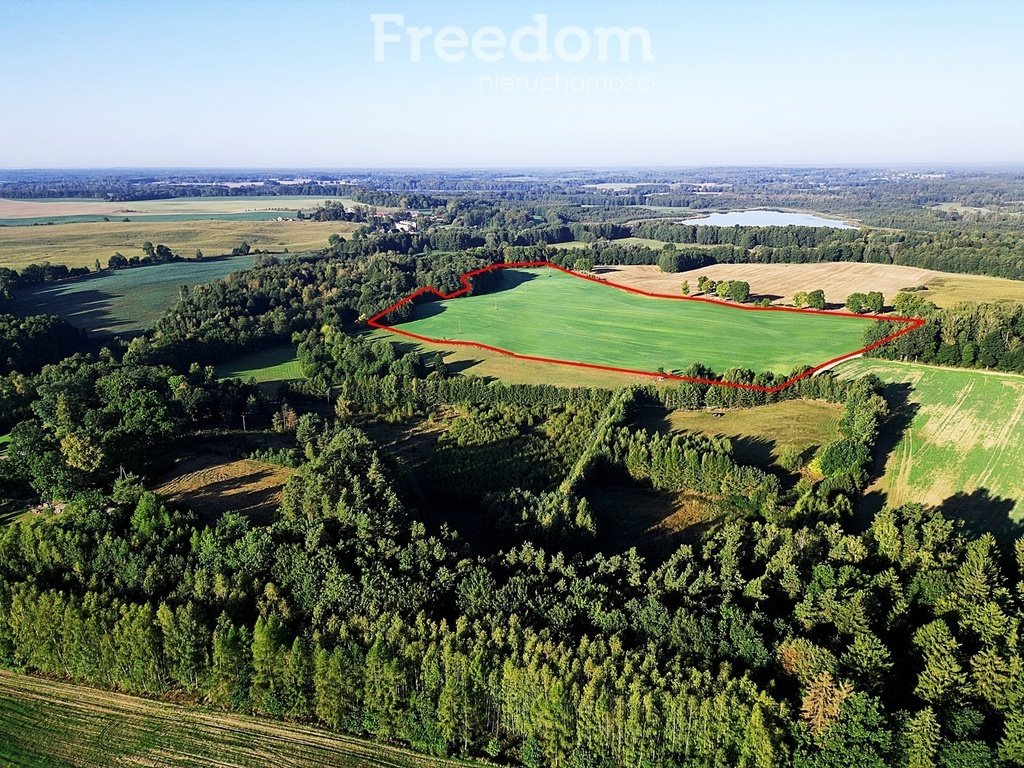 Działka inna na sprzedaż Dębinka  1 500m2 Foto 5