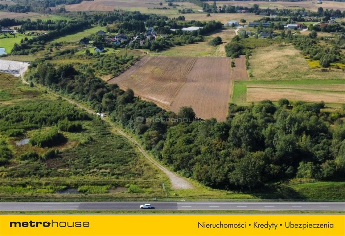 Działka rolna na sprzedaż Niekanin  19 000m2 Foto 11