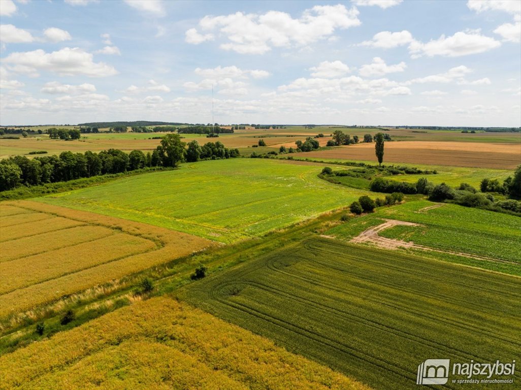 Działka rolna na sprzedaż Obromino  21 701m2 Foto 4