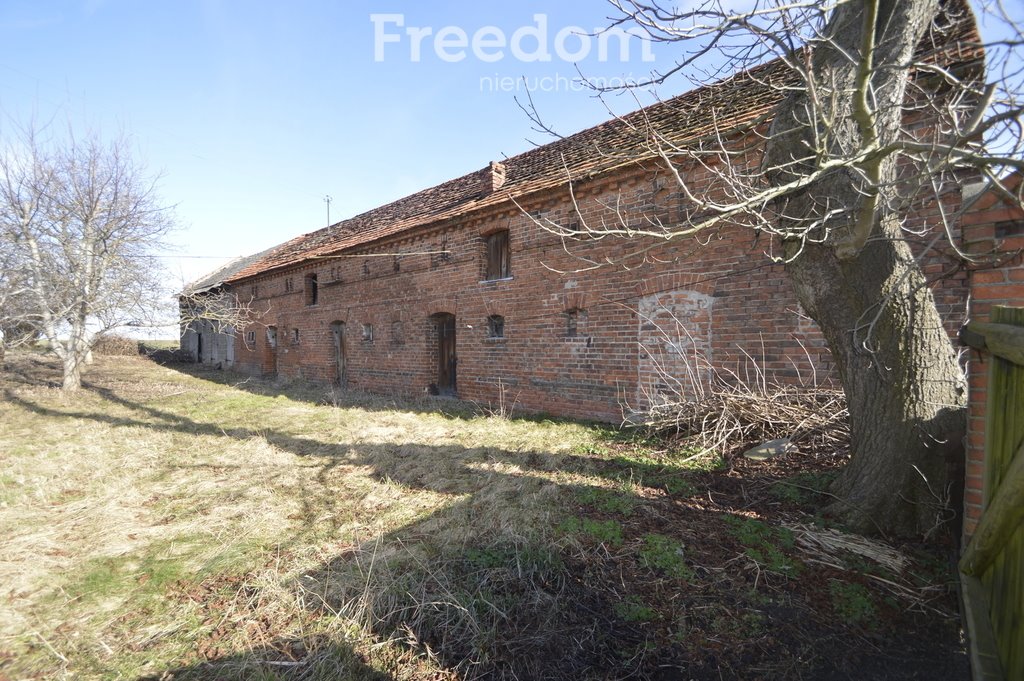 Działka budowlana na sprzedaż Nowa Wieś Książęca  6 400m2 Foto 5