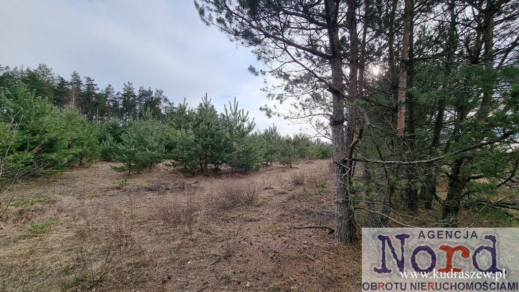 Działka 4387 m² pod pensjonat i usługi w Dalnym Lesie Dalny Las  4 387m2 Foto 1