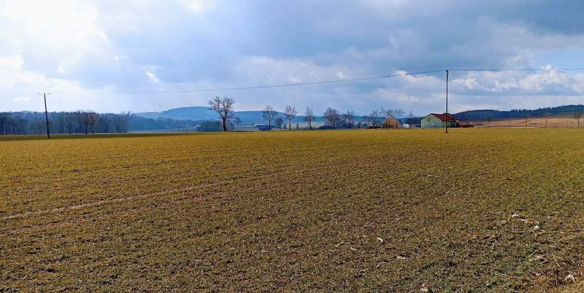 Działka inna na sprzedaż Niemcza  6 000m2 Foto 2