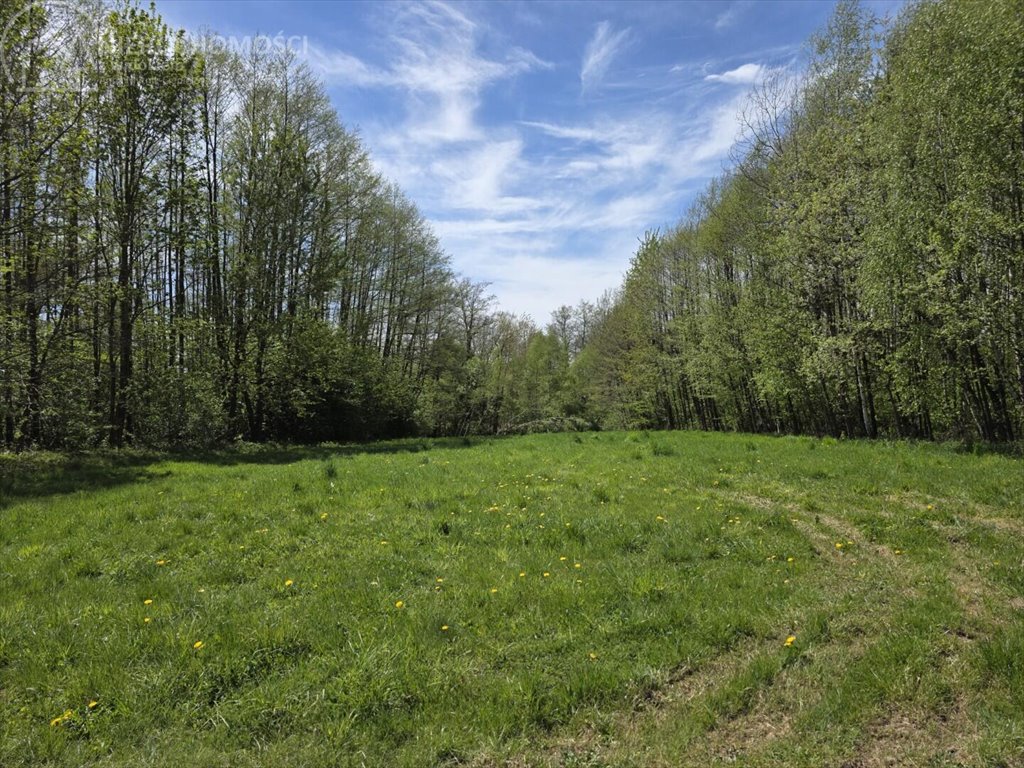 Urokliwa działka rolna 1929 m² w Wójtowej z lasem Wójtowa  1 929m2 Foto 1
