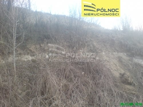 Działka budowlana na sprzedaż Orłów  10 271m2 Foto 6