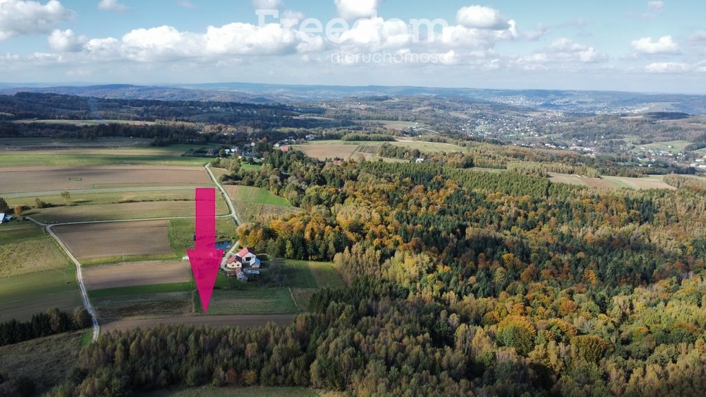 Działka budowlana na sprzedaż Połomia  5 700m2 Foto 3