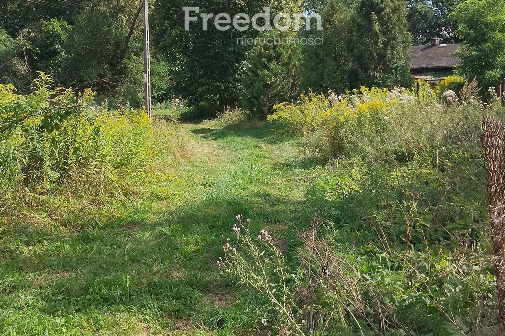 Działka budowlana na sprzedaż Ostrów-Kania  9 658m2 Foto 8