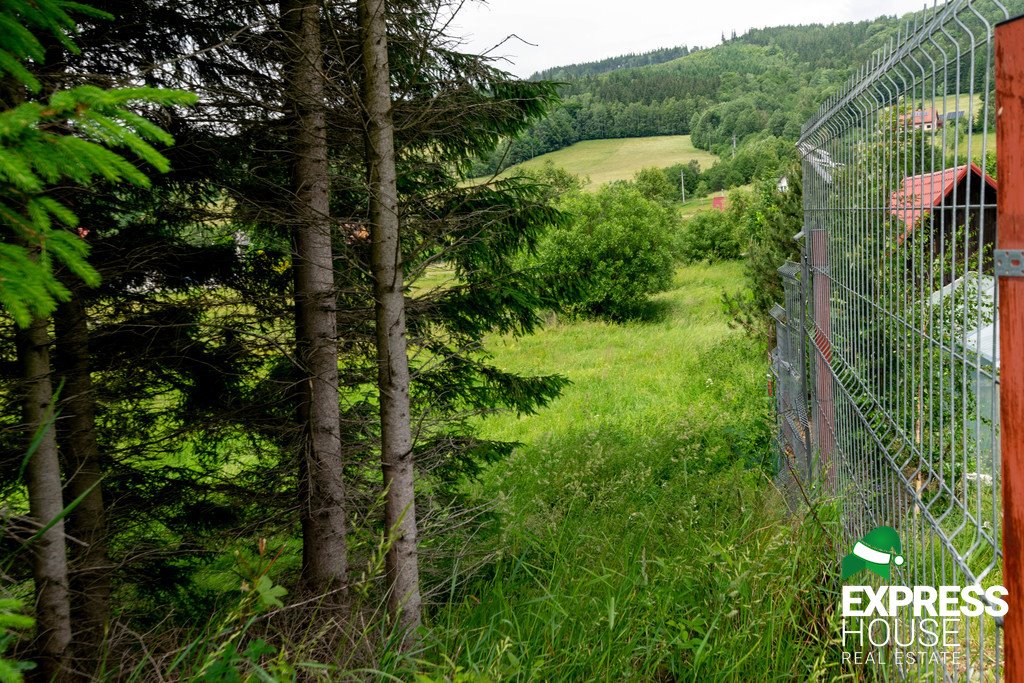 Działka budowlana na sprzedaż Stronie Śląskie  4 069m2 Foto 12