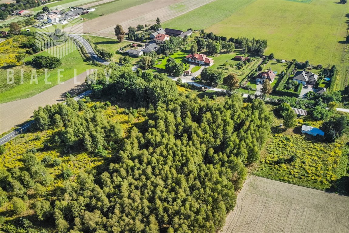 Działka budowlana na sprzedaż Borchówka  78 647m2 Foto 7