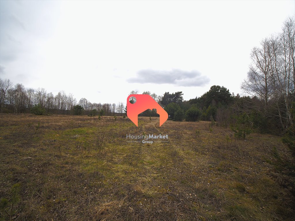 Działka rolna na sprzedaż Małków  3 200m2 Foto 1