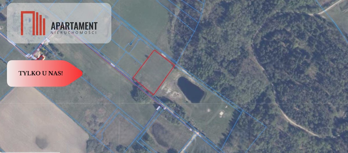 Polecam działkę 4061 m² z warunkami zabudowy w Pomlewie Pomlewo  4 061m2 Foto 1