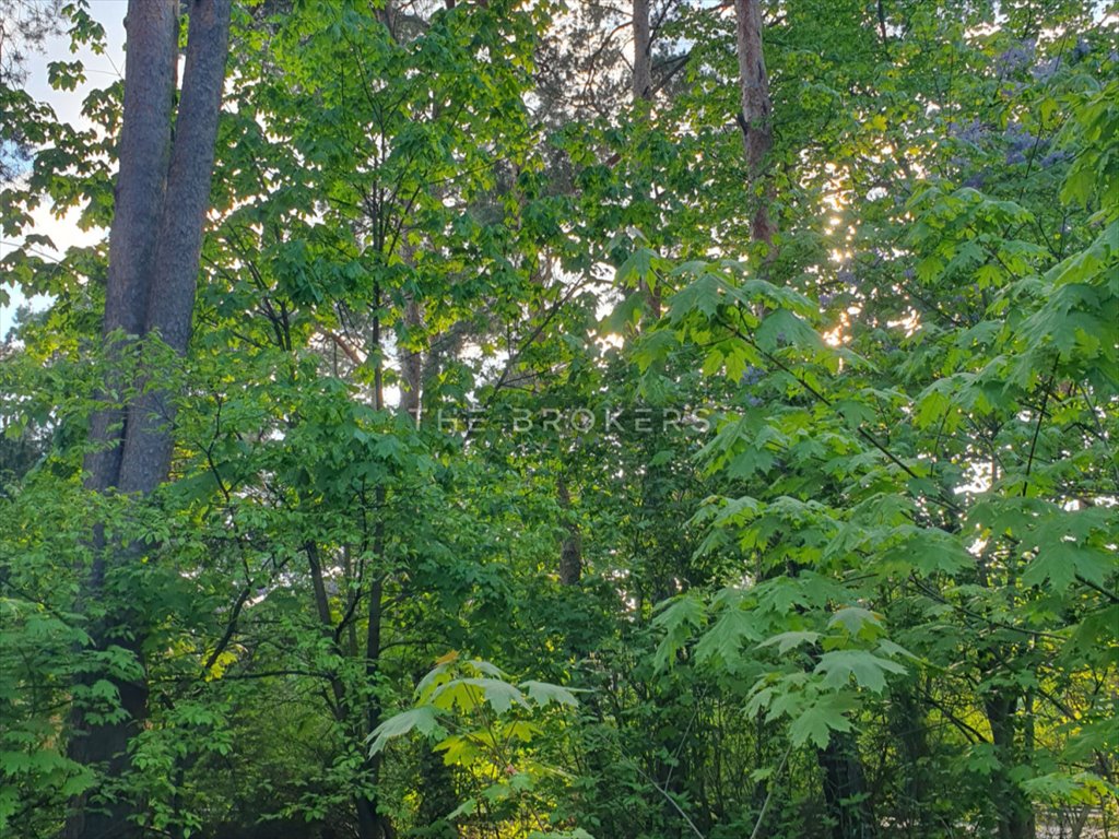 Działka budowlana na sprzedaż Józefów, Borsucza  2 415m2 Foto 2