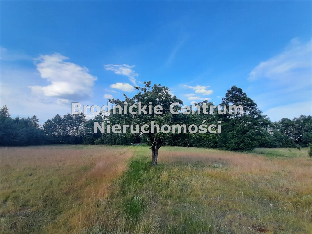 Dom na sprzedaż Wąpielsk  166m2 Foto 18