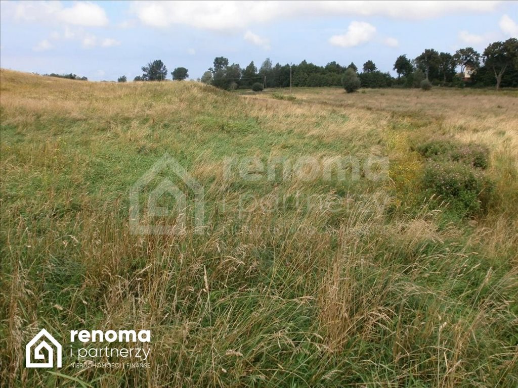 Działka gospodarstwo rolne na sprzedaż Ińsko  1 000 000m2 Foto 1