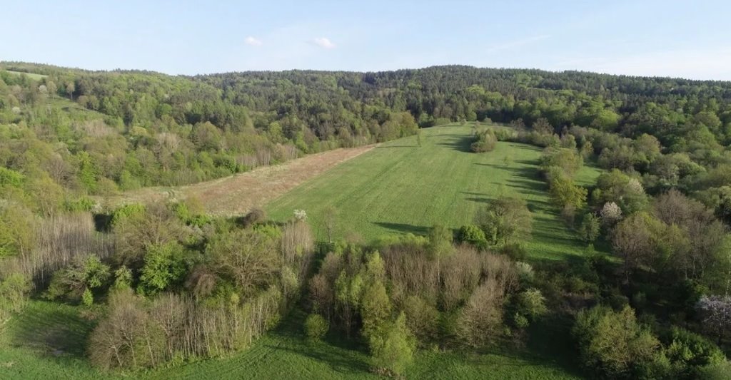 Duże 83,97ha gruntów rolnych w Dubiecku - cena do negocjacji Dubiecko  836 700m2 Foto 1