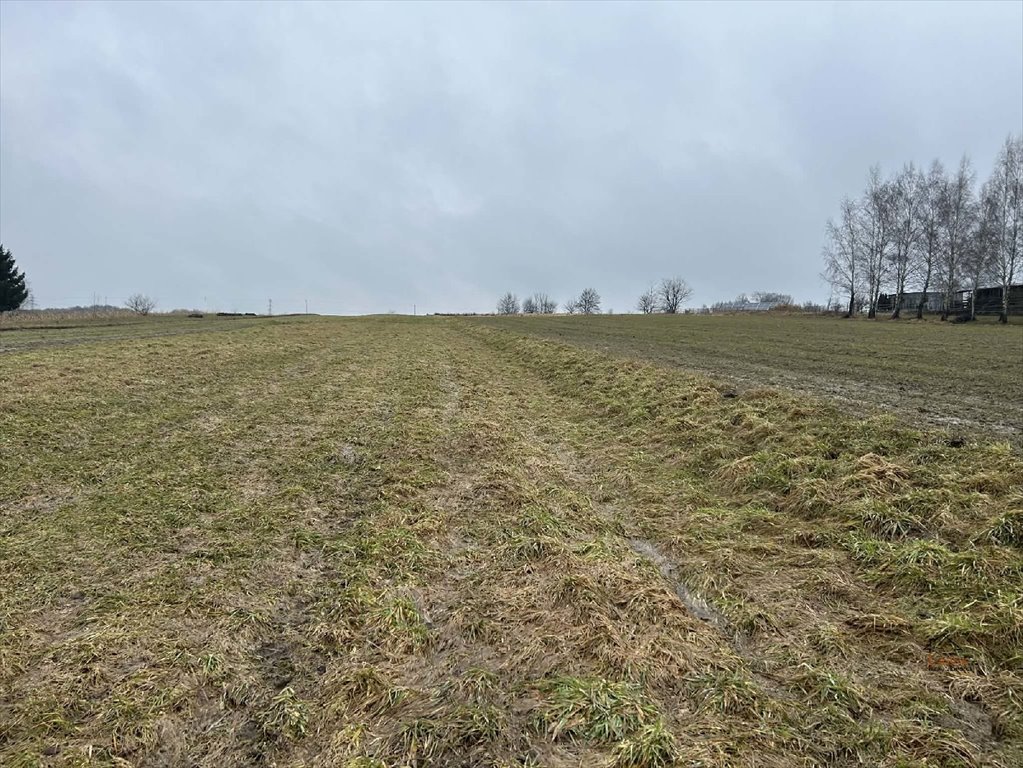 Działka 63 ar z 12 ar budowlanym, blisko centrum Chocznia  6 300m2 Foto 1