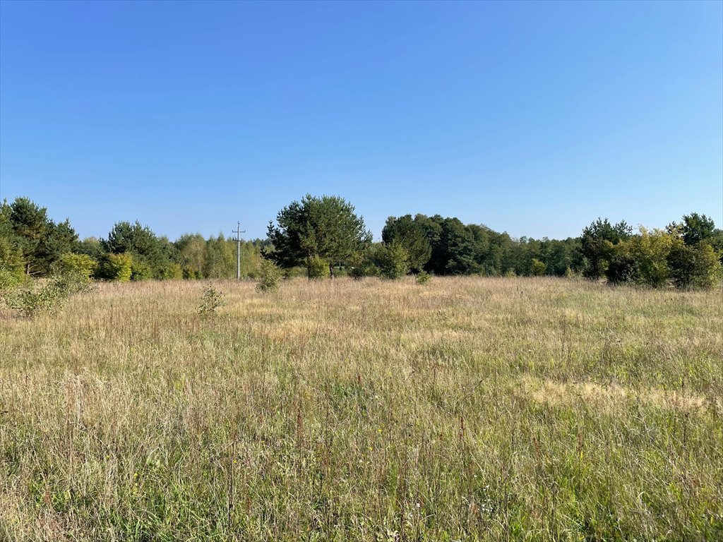 Działka rekreacyjna na sprzedaż Marksewo  1 000m2 Foto 15