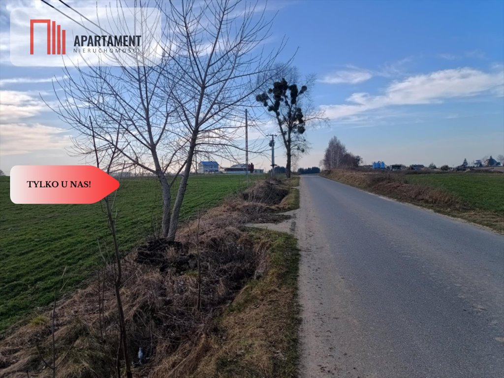 Działka budowlana na sprzedaż Osetno  11 800m2 Foto 4