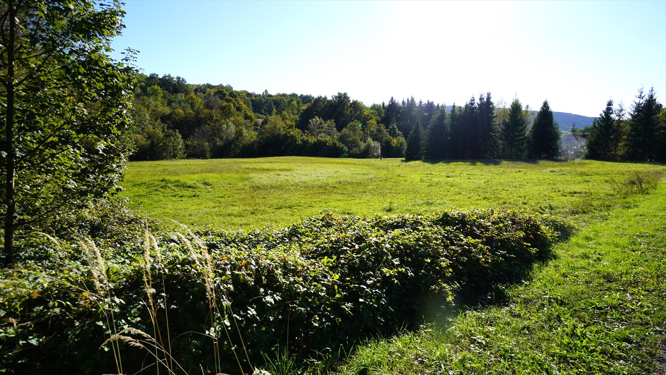 Działka budowlana na sprzedaż Sękowa  8 200m2 Foto 1