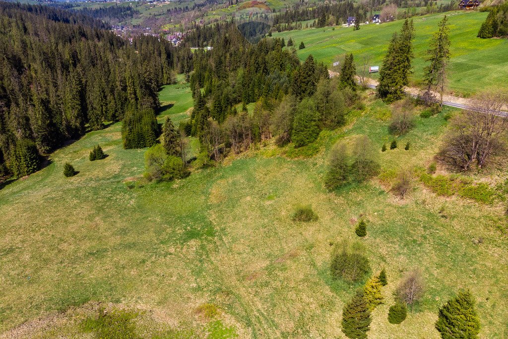 Działka rolna na sprzedaż Bukowina Tatrzańska  2 944m2 Foto 15