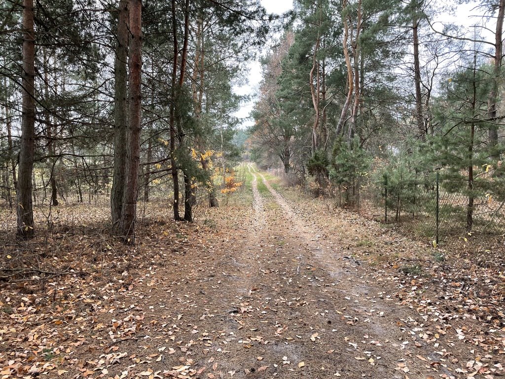 Działka rekreacyjna na sprzedaż Radzymin, Rejentówka  2 000m2 Foto 19