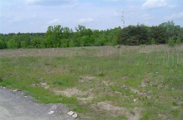 Działka budowlana na sprzedaż Marki 3 000m2 Foto 1 Działka budowlana na sprzedaż Marki 3 000m2 Foto 1