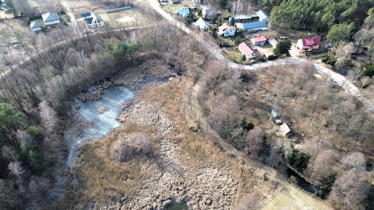 Lokal użytkowy na sprzedaż Tartak  52 600m2 Foto 29