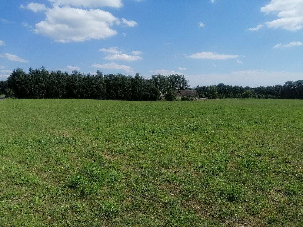 Działka rolna na sprzedaż Dobrzany  148 400m2 Foto 6