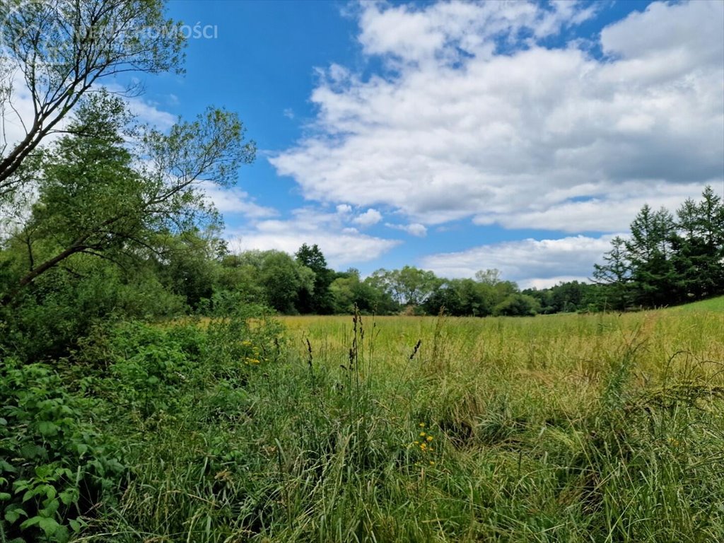 Działka budowlana na sprzedaż Sitnica  10 602m2 Foto 10