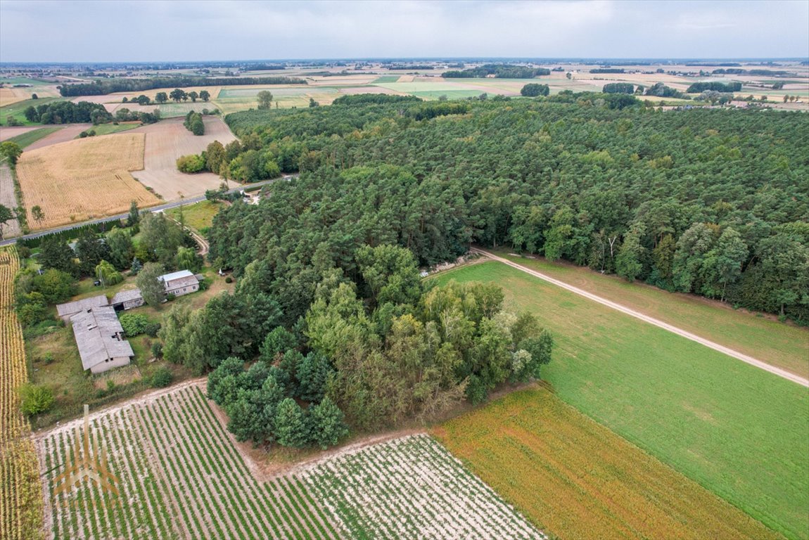 Działka przemysłowo-handlowa na sprzedaż Topólno  6 306m2 Foto 5