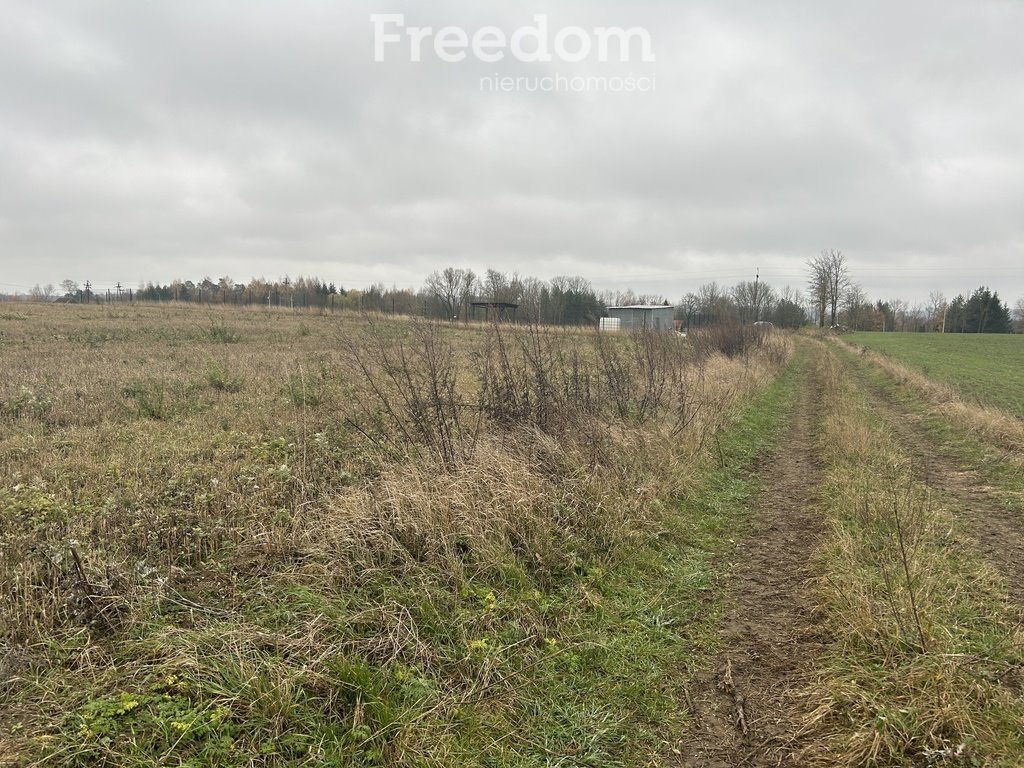 Działka inna na sprzedaż Karbowskie  3 037m2 Foto 8