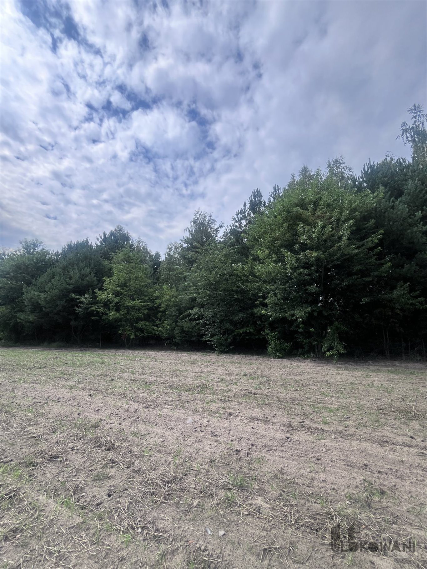 Działka budowlana na sprzedaż Zalesie, Grodziska  1 000m2 Foto 4