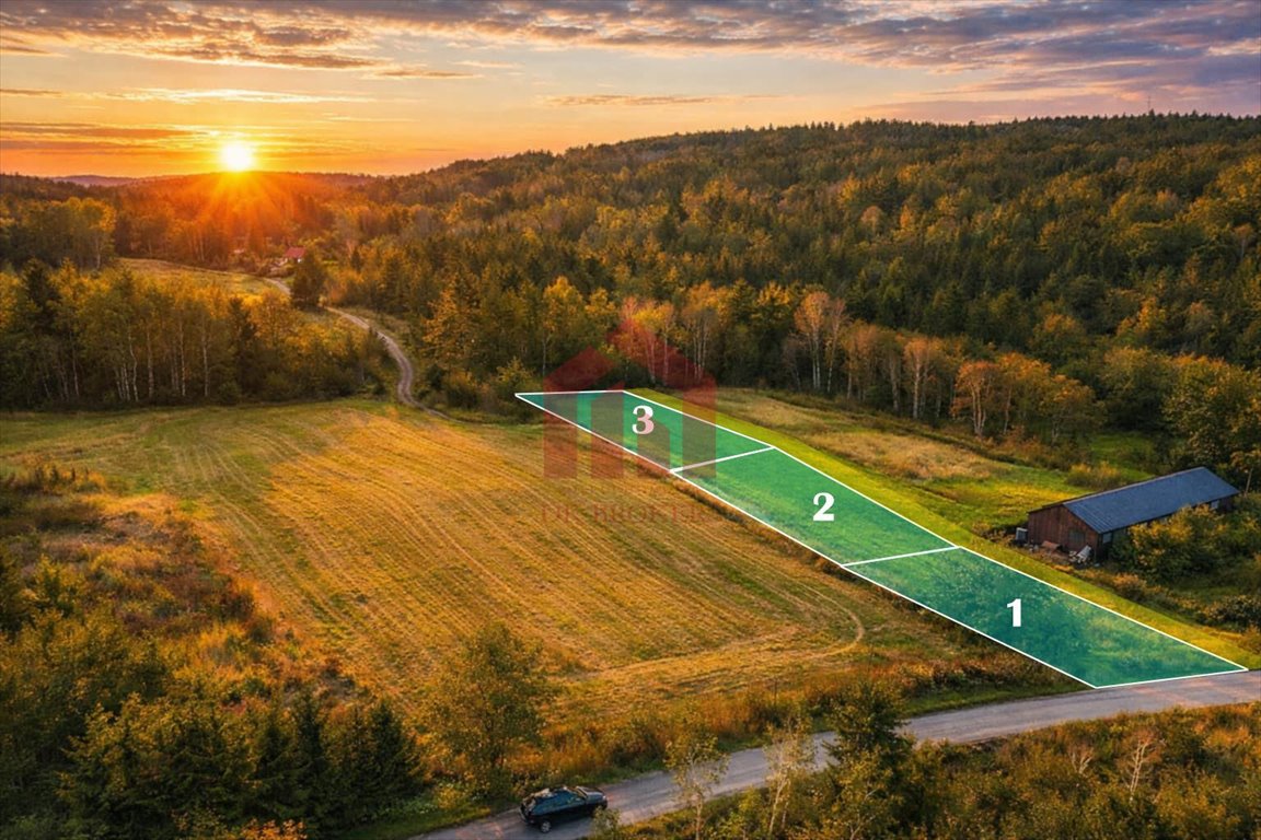 Działki z widokiem, pełne uzbrojenie, warunki zabudowy Wielopole Skrzyńskie  1 300m2 Foto 1