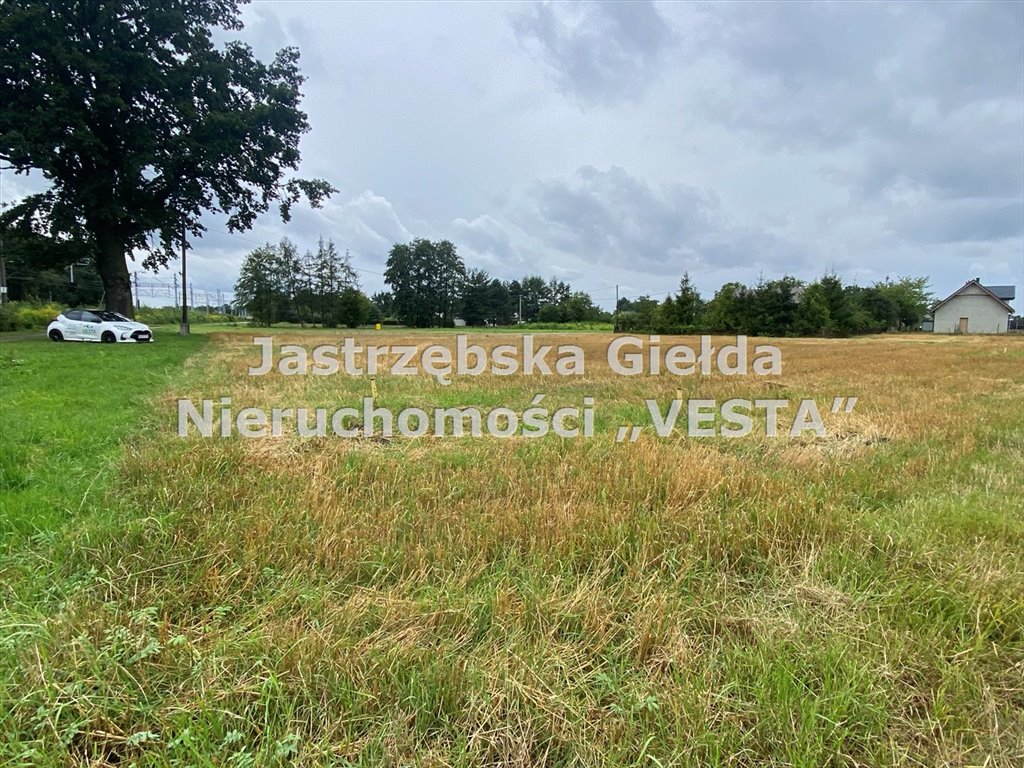 Działka budowlana na sprzedaż Mnich  1 707m2 Foto 2